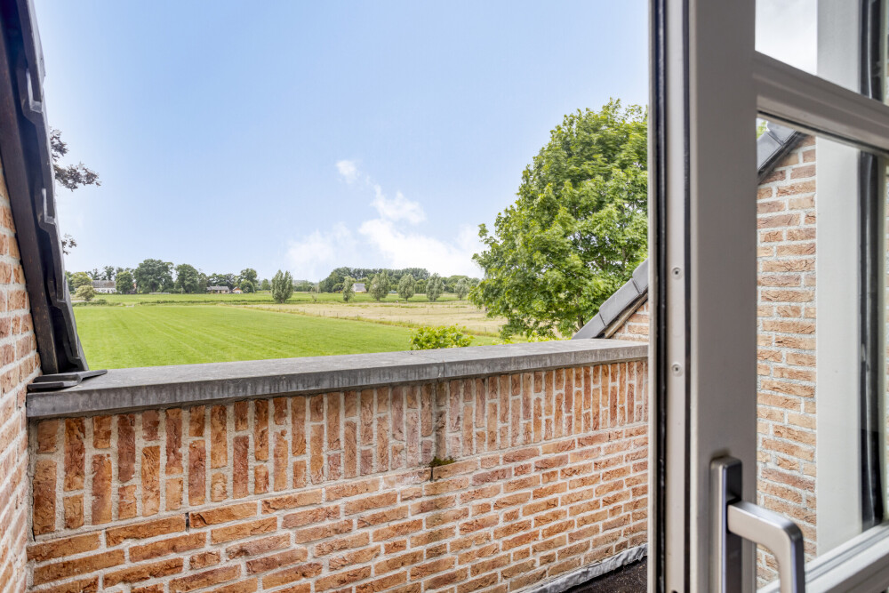 Foto 24 1000w