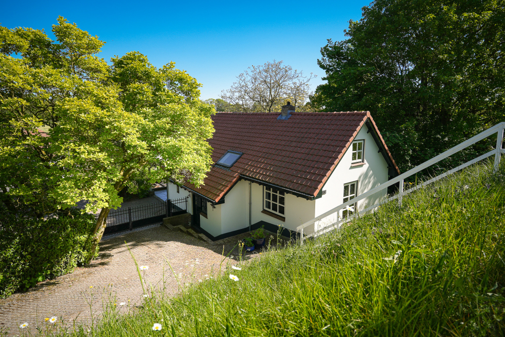 Foto 3 1000w