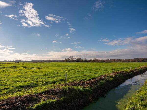 photo 42 Wiertdijkje 1