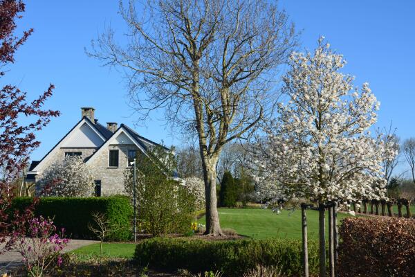 photo 36 Lange Meentweg 4