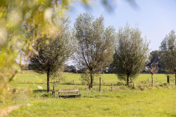 photo 35 Hupselse Esweg 3