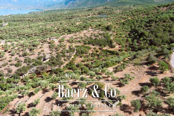 photo 30 1115698 - Villa For sale, Avia, 120 sq.m., €950.000