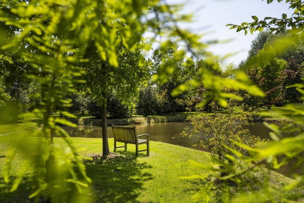 photo 49 De Zonneroos – luxe, privacy en eindeloos genieten.