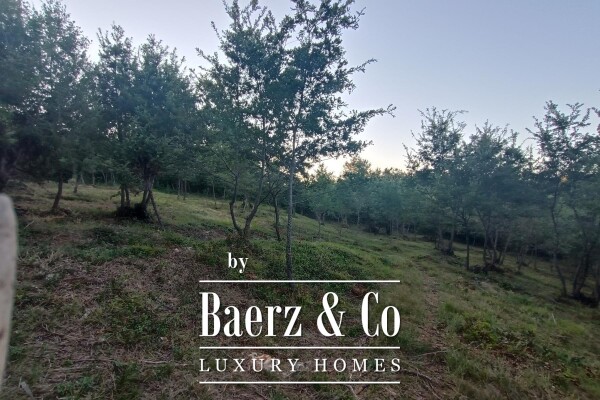 photo 8 Istria, Kringa, newly built luxury villa in the roh bau phase with a property of 17,106 m2