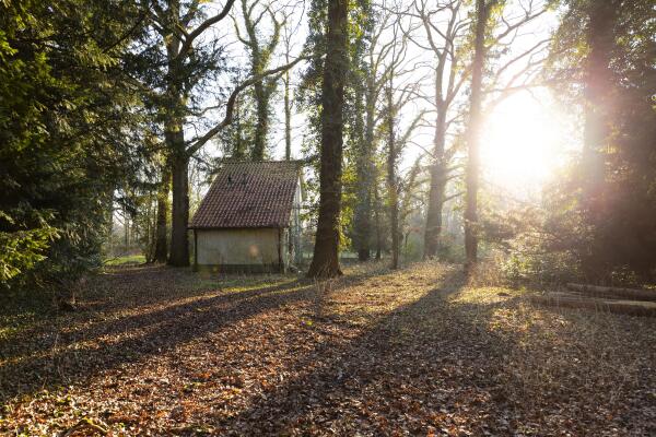 photo 11 Bastinglaan 20 0 ong