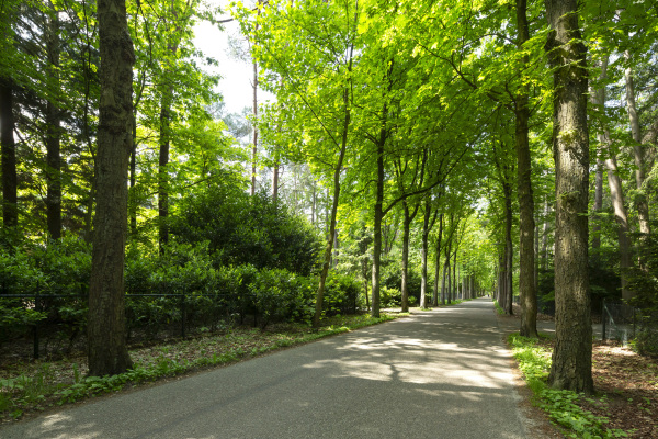 photo 22 Hondsbergselaan 3