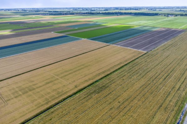 photo 38 Slingerdijk 3 A