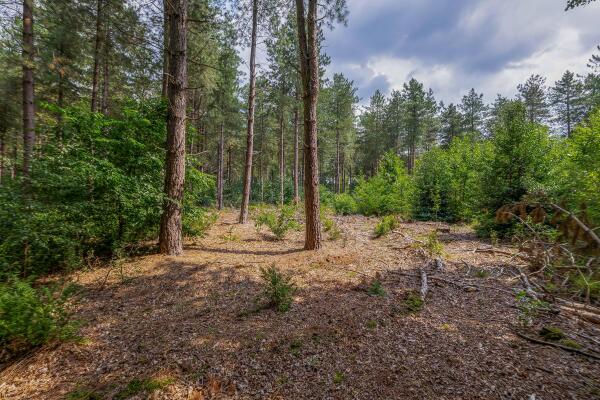 photo 51 Rooije-Aschweg 16