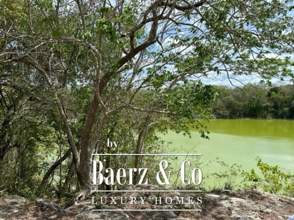 photo 19 Sudzal carretera a Tzalam, Km 7 