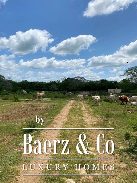 photo 33 Street 24 x 29 