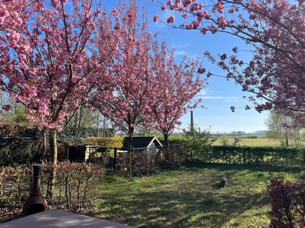 photo 37 De Oude Weg 29