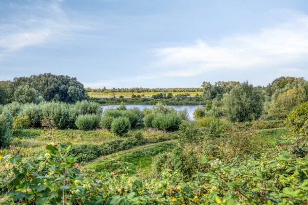 photo 51 Utrechtsestraatweg 31