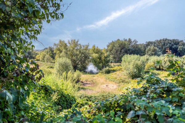 photo 54 Utrechtsestraatweg 31