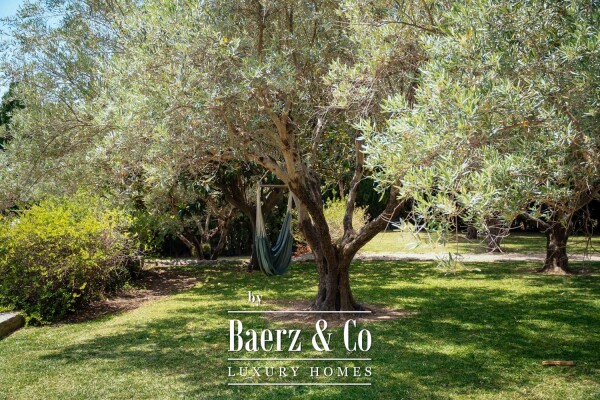 photo 33 Historic and Noble Royal Mansion with 2 Guest Villas