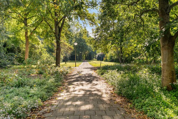 photo 38 Texelstraat 110