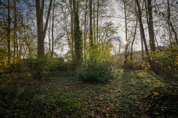 photo 67 Korfgraaf 24