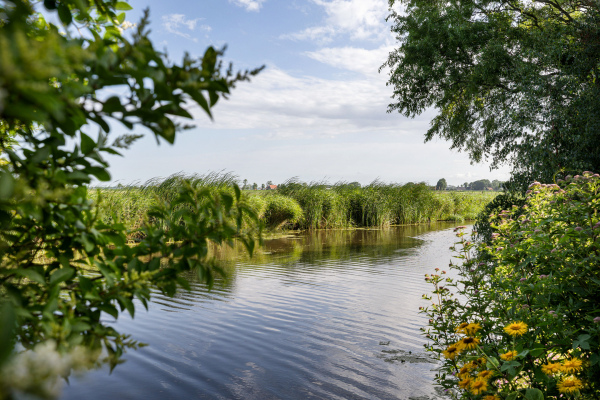 photo 38 Adam en Atze strjitte 8