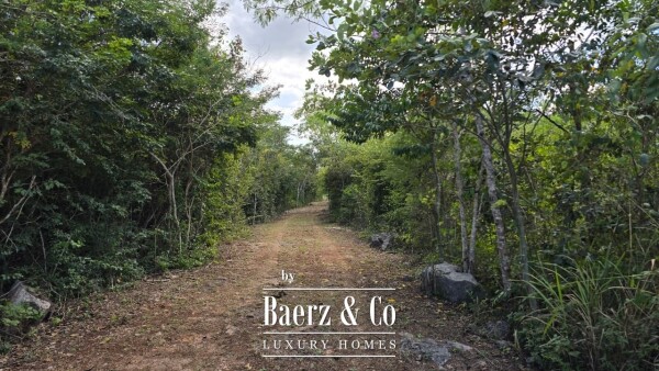 photo 5 Sagrado - Valladolid 