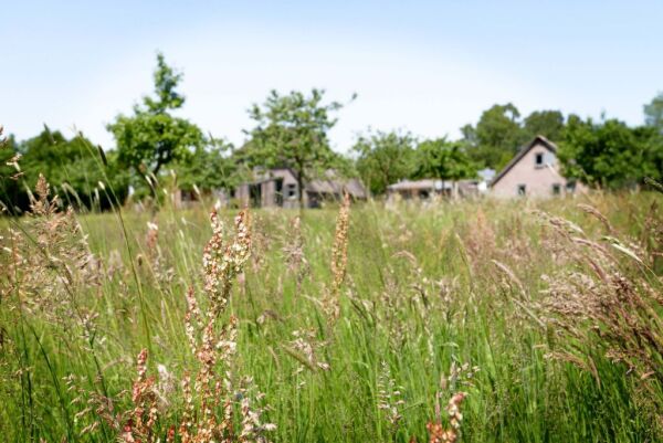 photo 7 Quabbenburgerweg 16