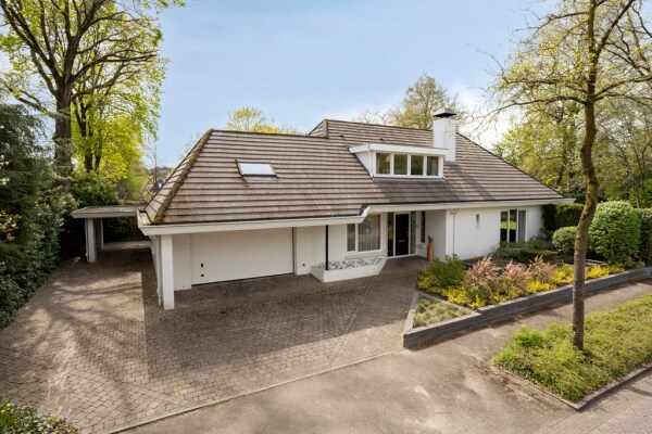 photo 77 Zilvermos 2