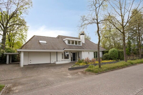 photo 80 Zilvermos 2