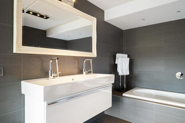 photo 22 Goudpluvier 39