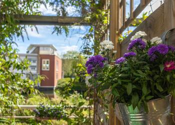 DIEMEN